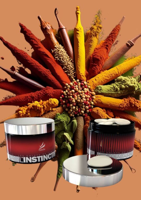 Les Galets de Camylle - L'Instinctif