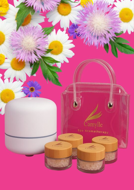 Diffuseur BYSOO + 4 testeurs Perles de Parfum : Bois + Monoï + Orange Cannelle + Luxe