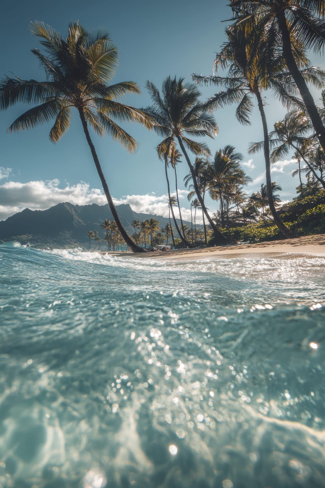 paysage-de-plage-d-hawai-avec-la-nature-et-le-littoral
